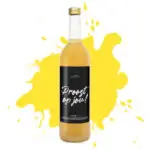 Grote fles APPELSAP (75cl)